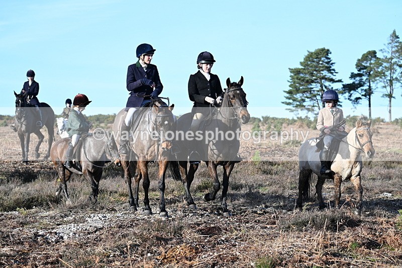 WJ7_7389 - Line 3 (no line 4 or 5)