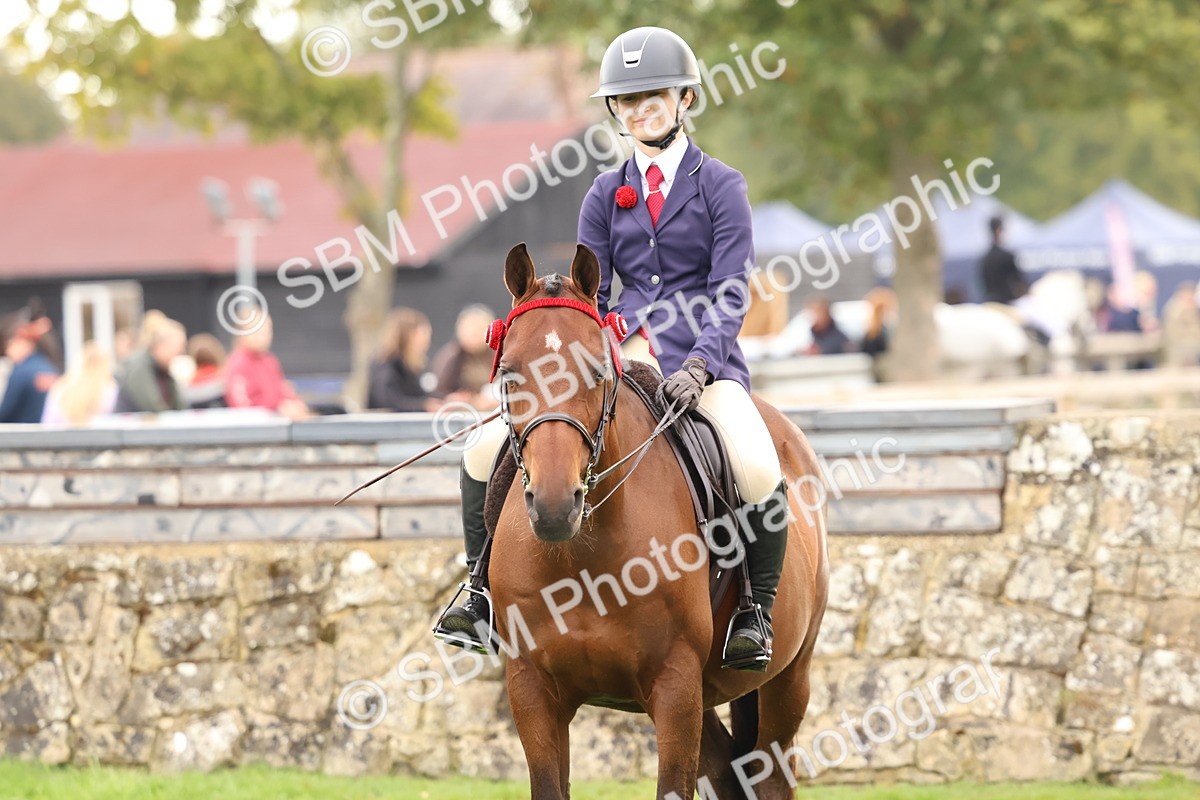 SBM_56701 - S40 - Starters Ridden Showing