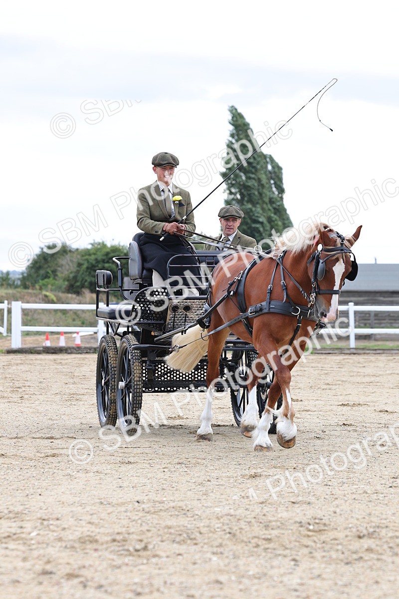 SBM_000424 - Class 4 - Junior Whip