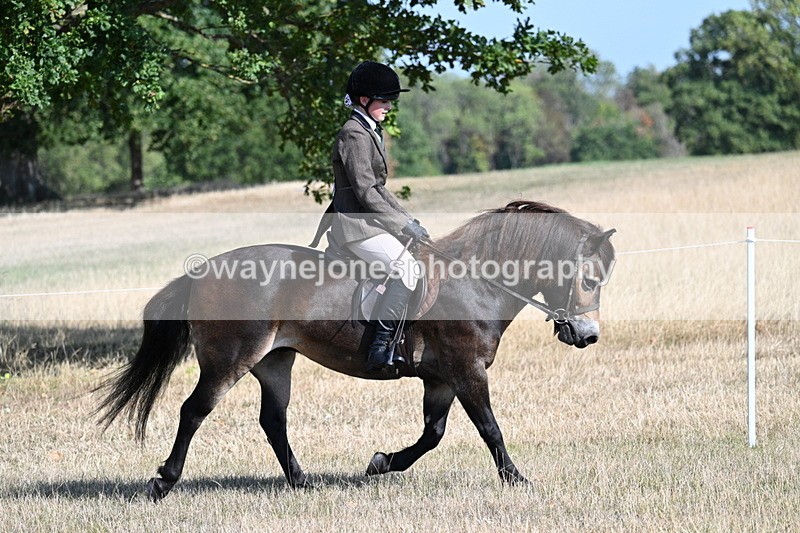 WJ7_2908 - Class 8 Ridden Tack & Turnout