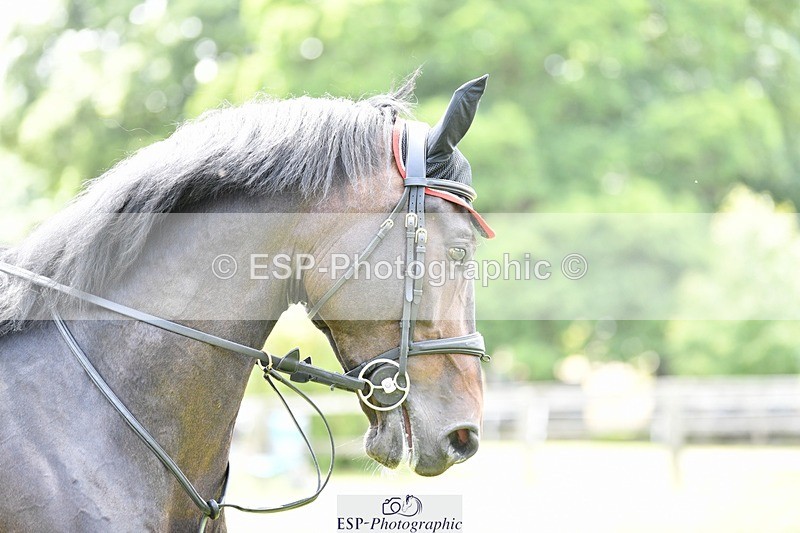 240704-151328-04113 - Cls 15 6 Yr Old Qualifier