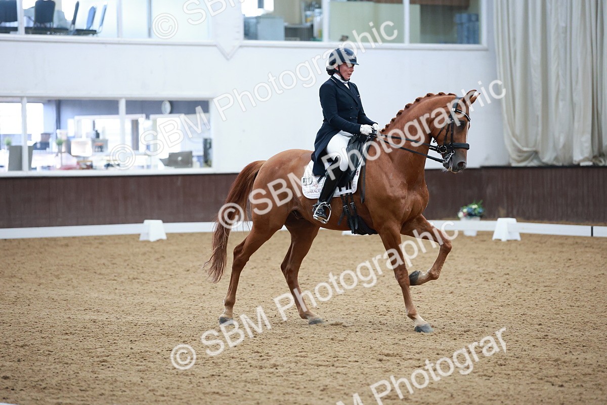 SBM_009547 - Class 13 - FEI PSG - 11.06-12.34