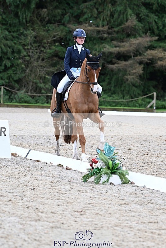 231019-130328-02917 - 049-AUGUSTUS.IMPERIOUS-Ines.Mitchell-DR