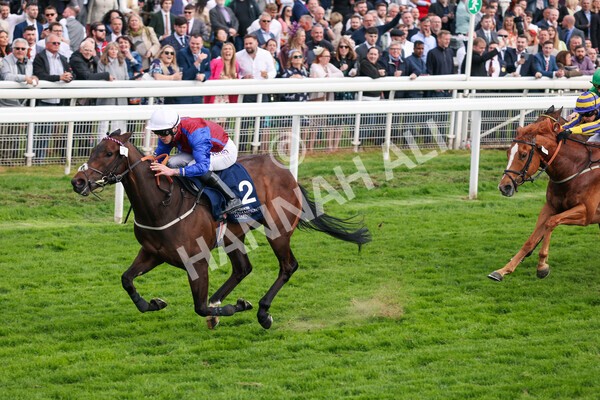 yr13052022r7-41 - Race 7 5.15pm Longines Irish Champions Weekend Stakes