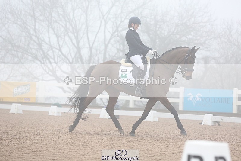 240217A-124930-02952 - 202-hayley.ford-Crimson.gold