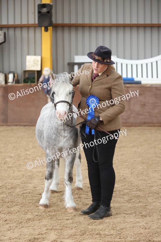 20251109-0677 - Class 22 - Geldings 4 Years and over