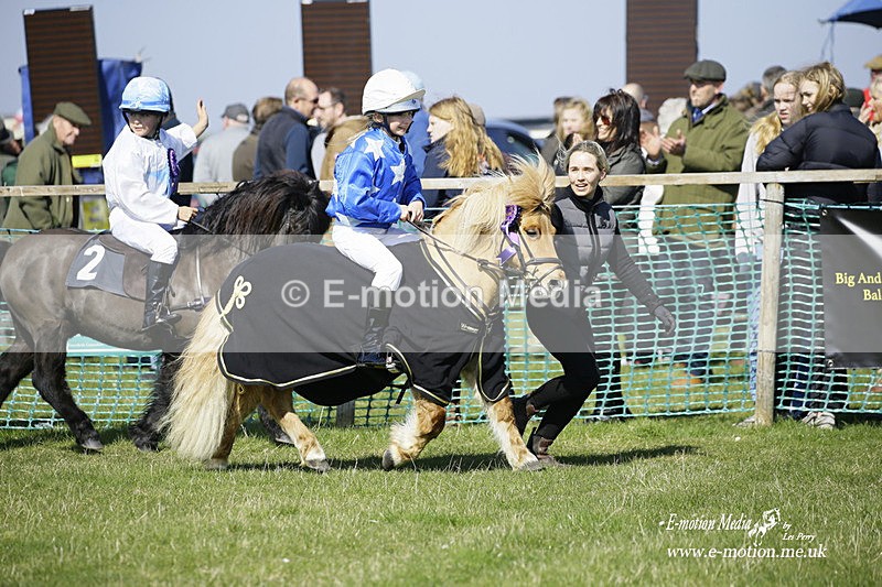 PtP 190322 113 - Wilton Hunt PtP Milborne St Andrew 19/03/22