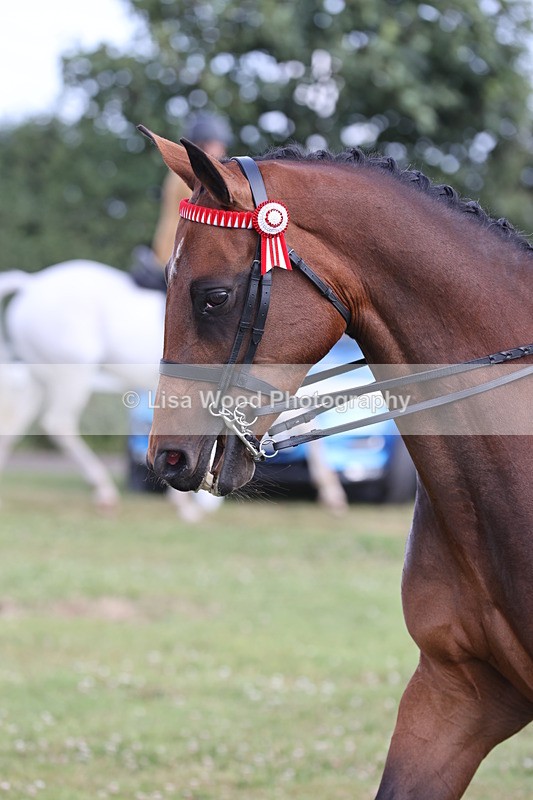 JPP_1229 - Class 17: Cornish Combination Open