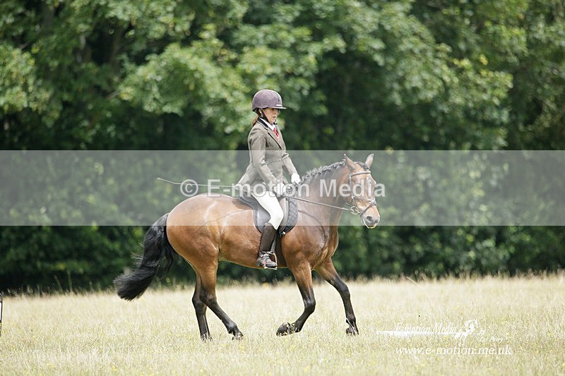 BVRC 030721 403 - Bourne Valley Riding Club Dressage 03/07/21