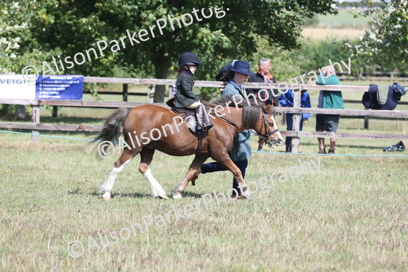20250831-2615 - Class 17 - Lead Rein Pony
