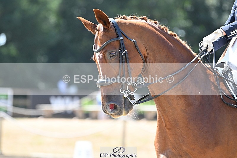 250810A-134255-07047 - 015-Sarah.StewartDJoe.Dimaggio