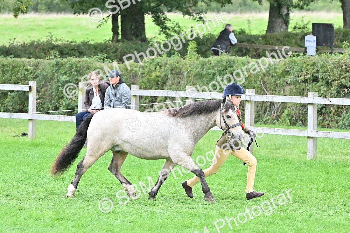 SBM_68531 - S42 - Junior Handler 9-12 Years