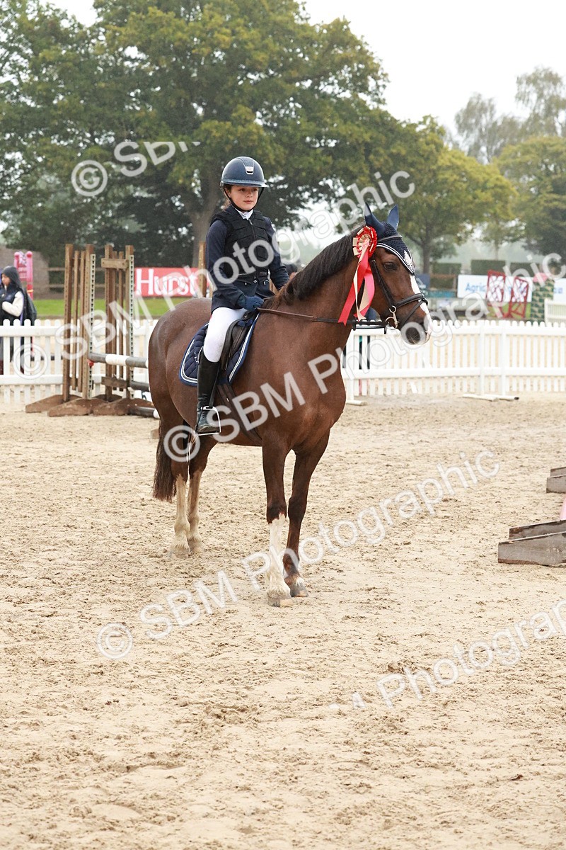 SBM_73591 - Supreme Championship Junior Pony 60cm & 65cm