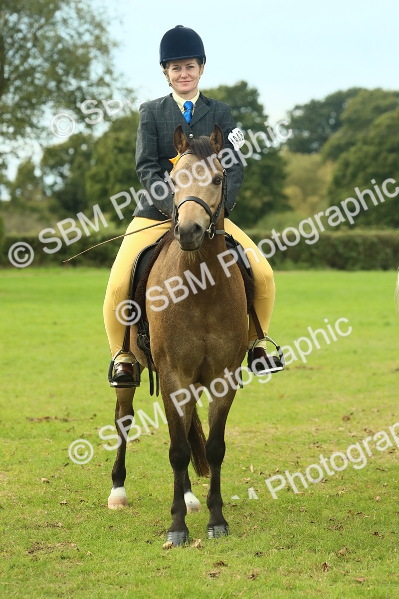SBM_70045 - S59 - Mountain & Moorland Ridden Small Breeds