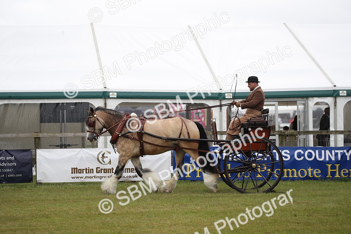 SBM_05649 - Class 12-15 - HOYS Private Driving
