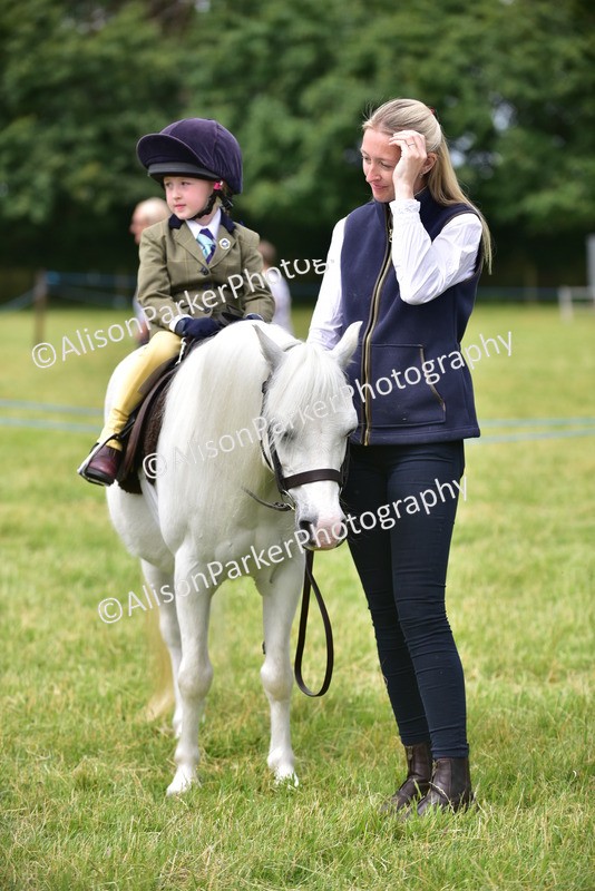20260614-4221 - Class 17 - Best Mane and Tail