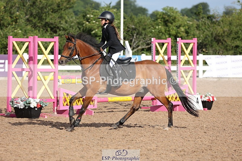 240629A-082505-02542 - Cls 16 British Novice and 80cm Open