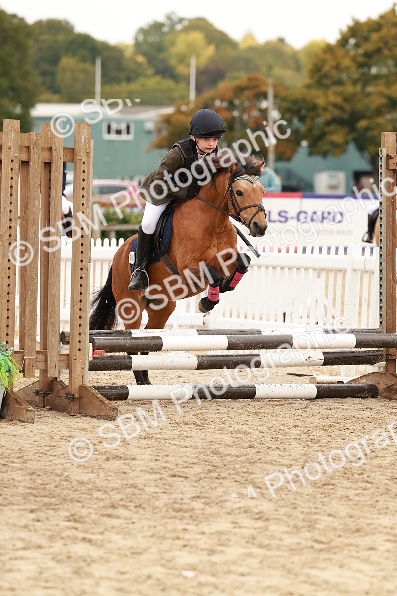 SBM_57614 - J11 - Junior Pony 50cm Championship
