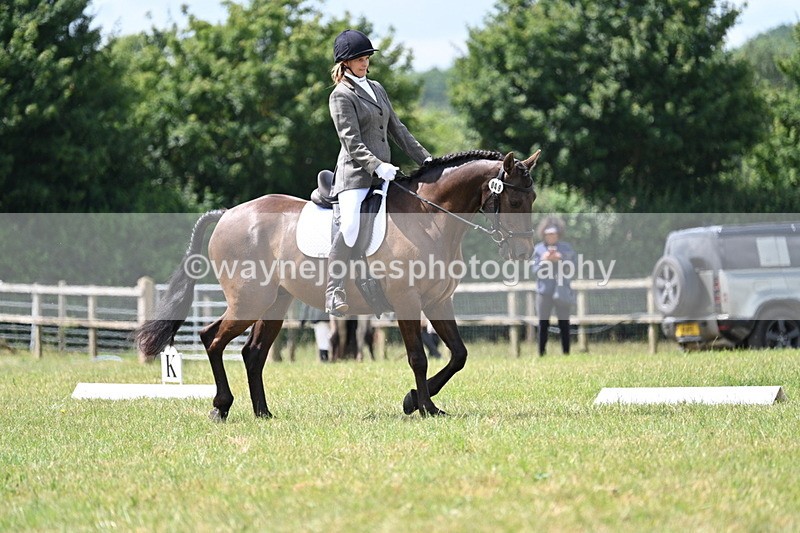 WJ7_4822 - Time 11:22 to 11:51