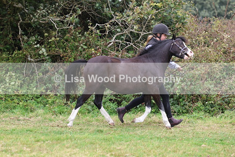 3E7A4331 - Class 15: Three Year Olds