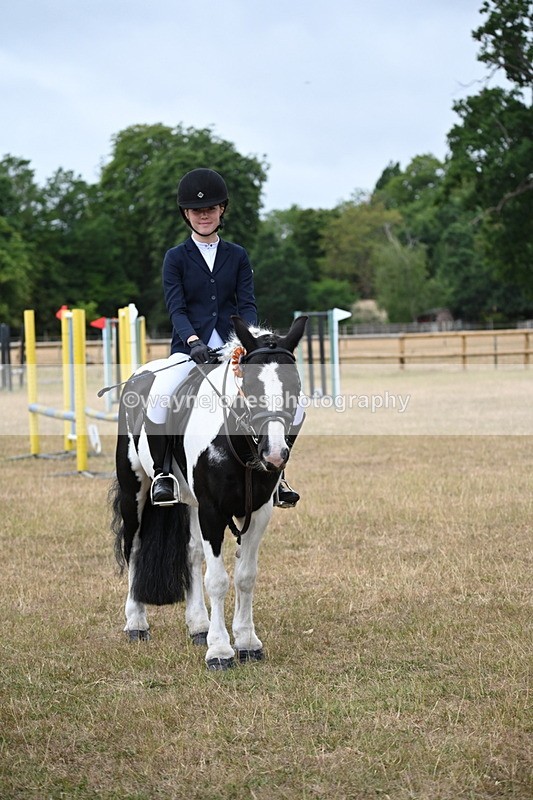 WJ6_0428 - Class 13 Novice Jumping 60cm
