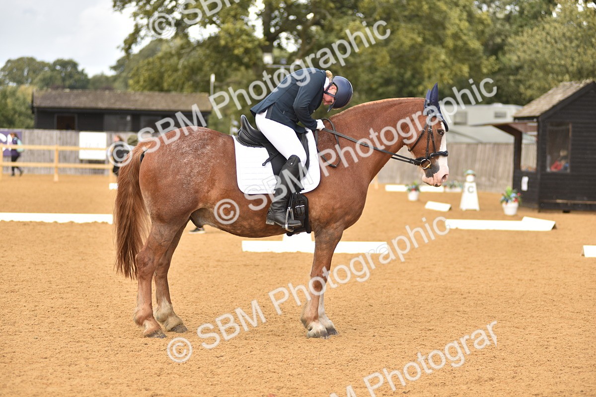 SBM_24391 - D4 - Small Tour Championship Intro 4