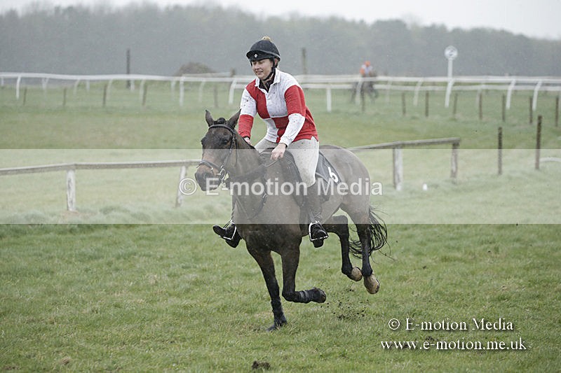 PtP 150320 0042 - New Forest Point-to-Point Larkhill 15/03/20
