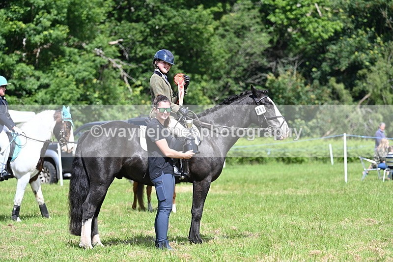 WJ7_1769 - Class 9 Pony Club Pony
