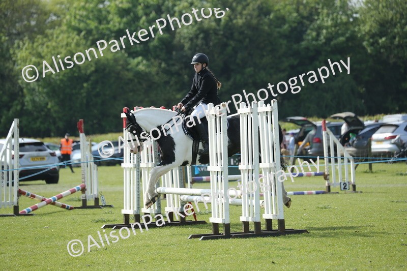 20260426-1469 - Class 14 - Novice 60cm