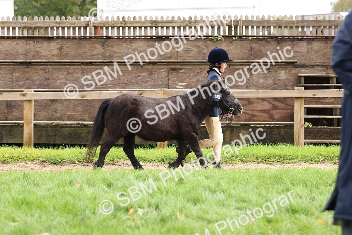 SBM_40731 - S25 -  Veteran In Hand