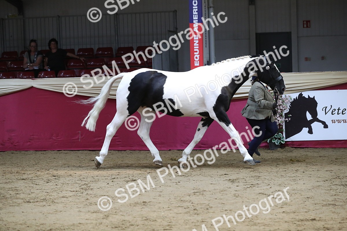 SBM_06248 - Class 9R Regional- IH Pre Vet