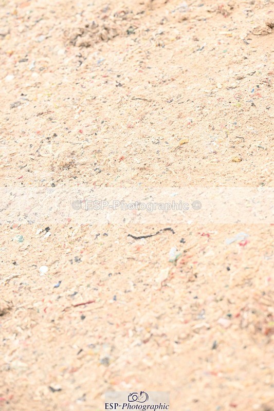 250914-132348-08730 - Cls 29+30 Newcomers and Fox