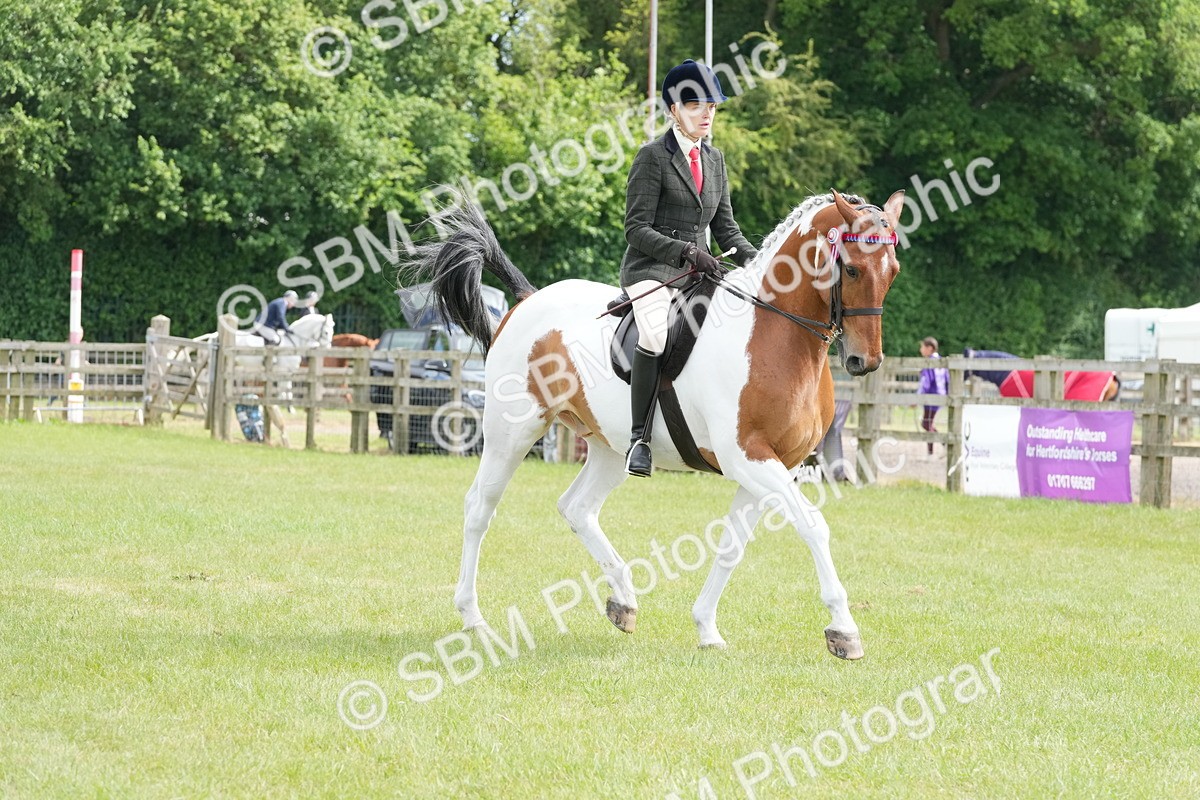 SBM_17569 - Class 107-108 - LIHS BSPS Performance Coloured Horse Pony