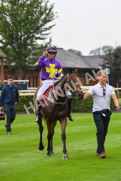 100923-Pony Race 2-Its Fatherted-0321 - Pony Race 2 12.45 The Dragon (TV and Film) Studios Pony Race 148cm & Under