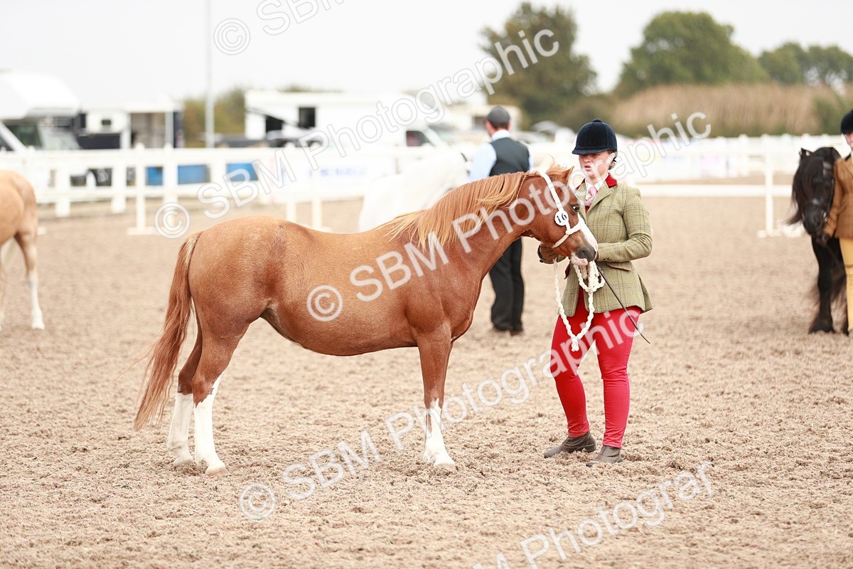 SBM_12533 - Class 207 IH M&M