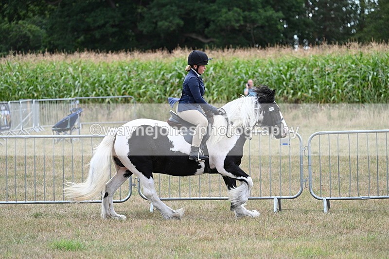 WJ7_5342 - Class 12 Ridden Cob