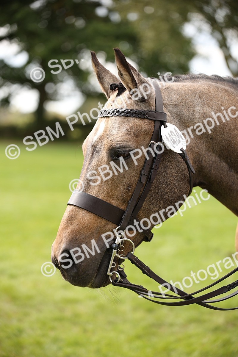 SBM_46364 - S25 - Mature Veteran In Hand