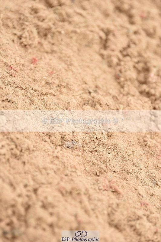 230813A-115508-12165 - Cls 48 Area Trial