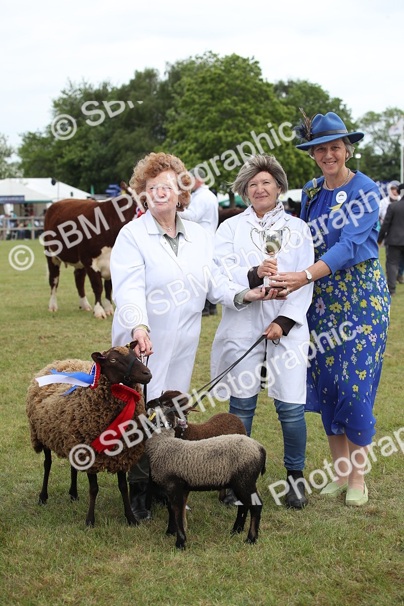 SBM_07881 - Grand Parade