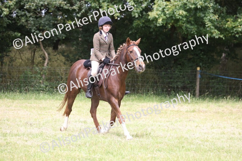 20260614-3231 - Class 22 - Open Working Hunter