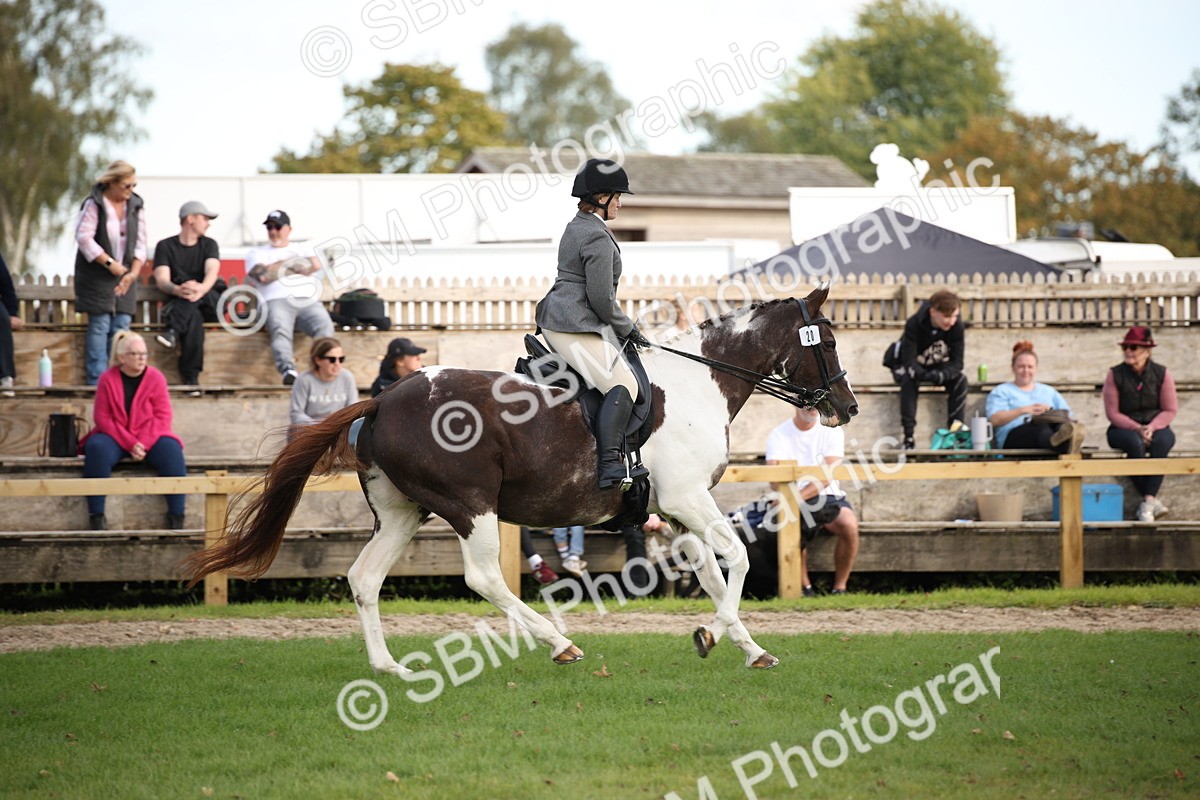 SBM_50194 - S26 - Young Veteran - Ridden