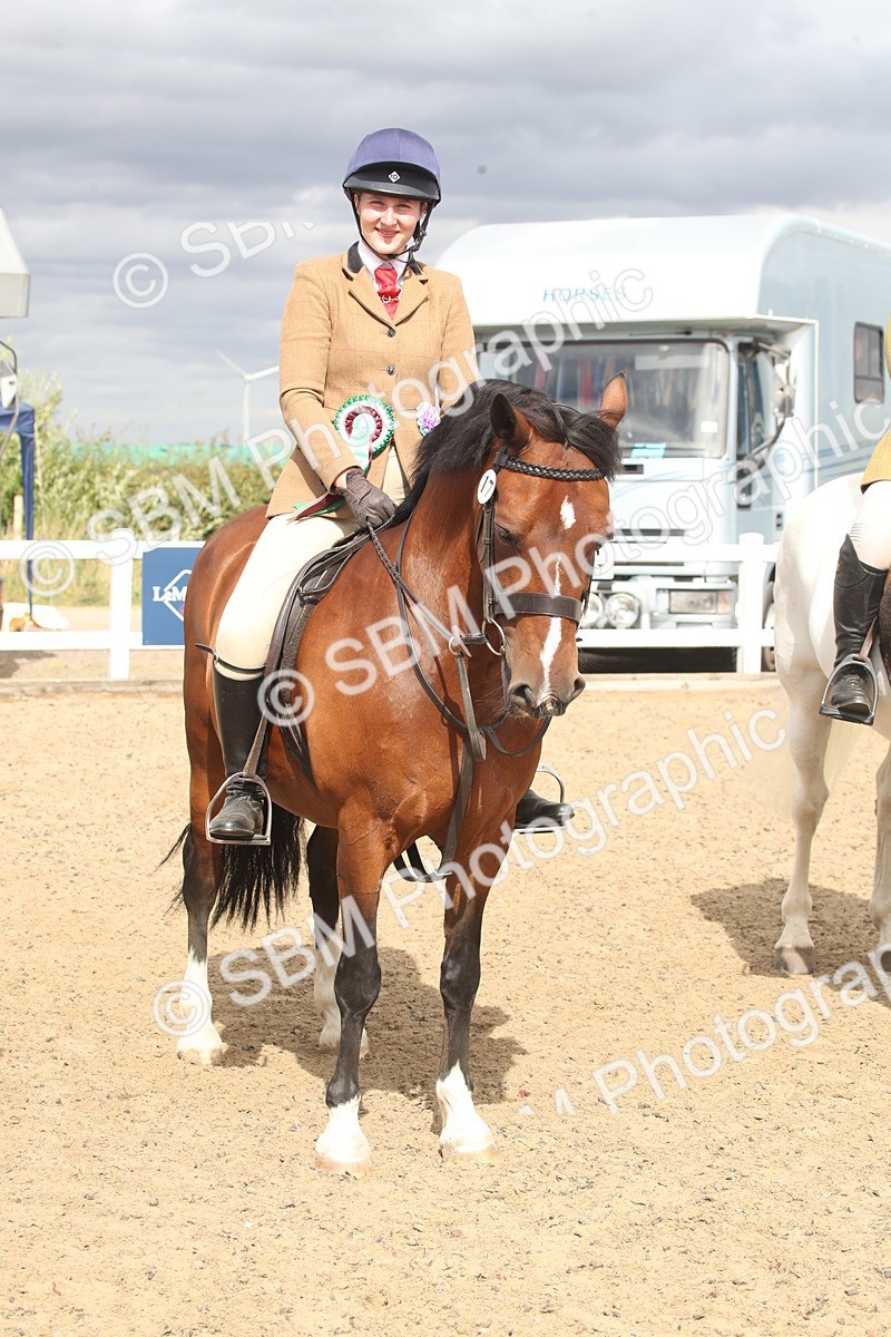 SBM_17769 - Class 508a - Working Veteran 70cm (15-19)