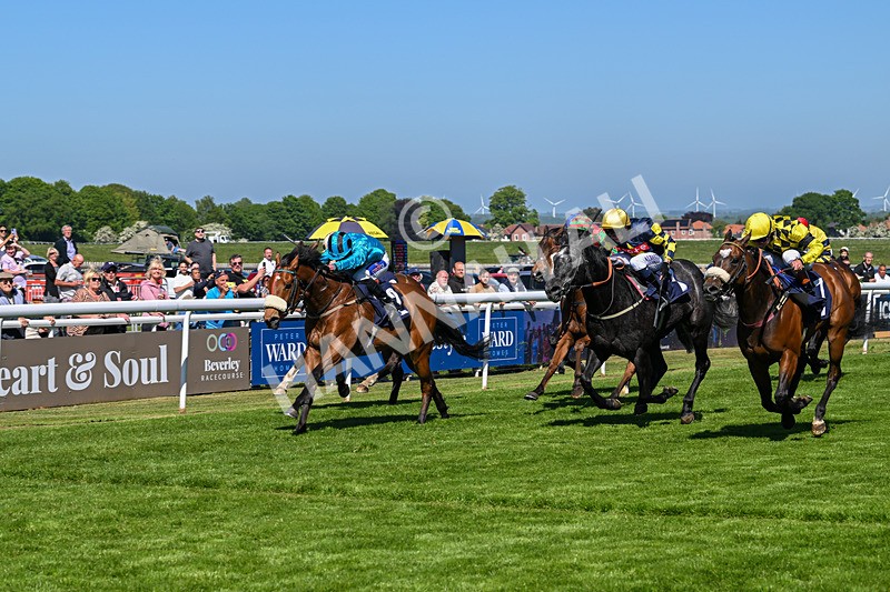 130525-Race 3-Ingleby Archie-9817 - Race 3