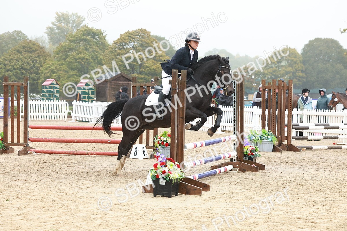 SBM_73413 - Supreme Championship Junior Pony 60cm & 65cm