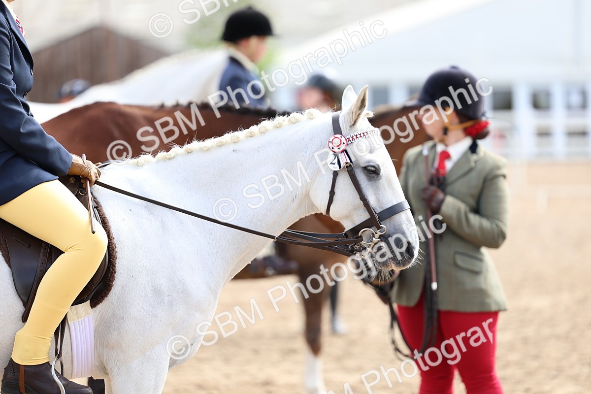 SBM_01882 - Class 18 - Handsomest Gelding - IH or Ridden