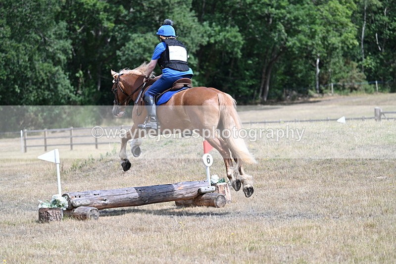 WJ7_0602 - 40cm Time 12:10 to 12:20