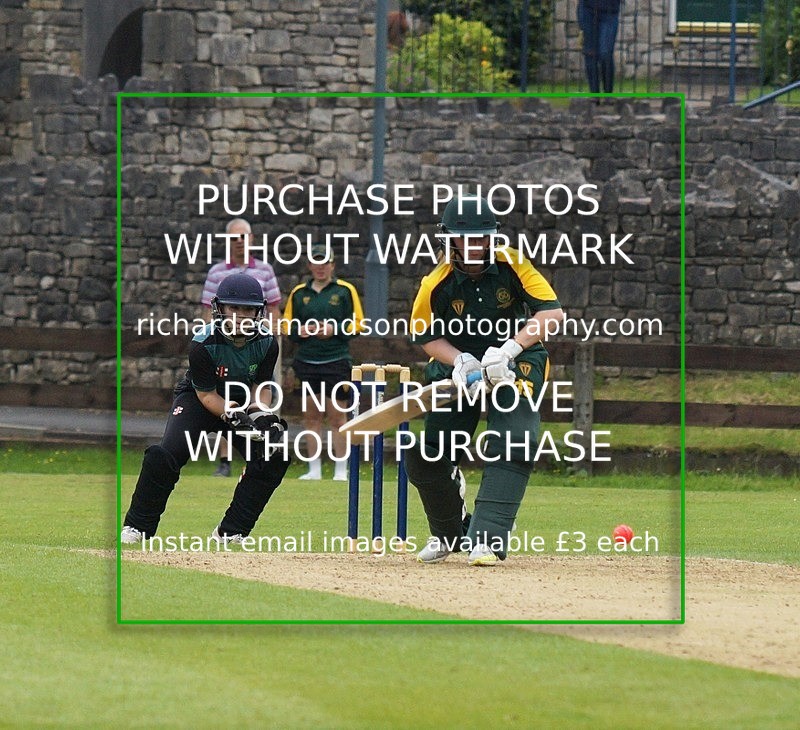 DSC01174 - Cumbria Womans Twenty-20