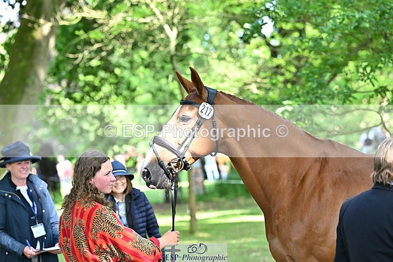 250521A-162229-01096 - C-217-Polly.Kilgour-RENKUM.LADY.VOS