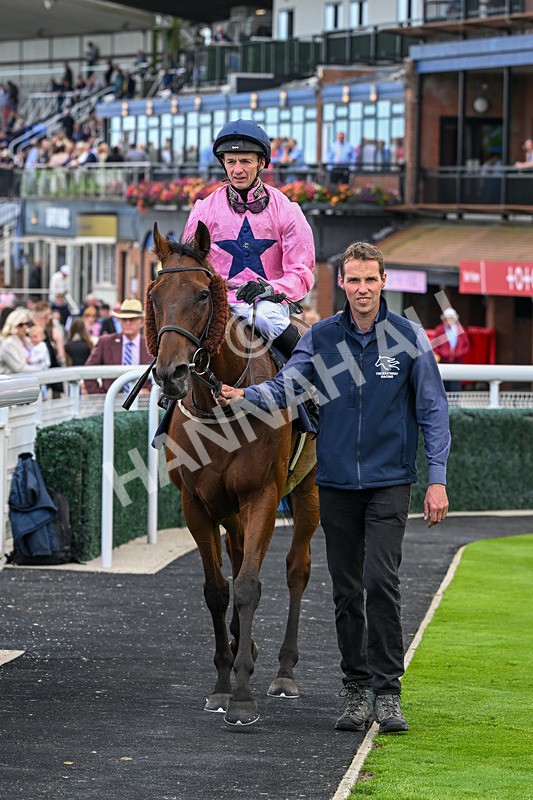 160926-Race 1-Austrian Theory-9221 - Race 1 2.08pm Season Finale Is Next Tuesday Selling Handicap