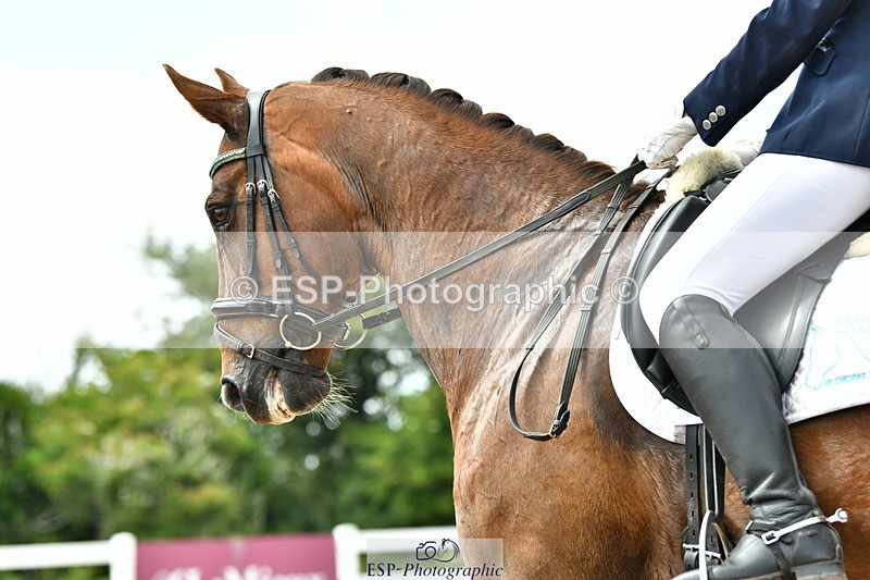 230701A-150301-06855 - Cls 11 Medium 73